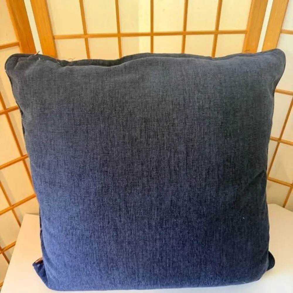 Embroidered Paisley Throw Pillow 20x20 $10 Stamford